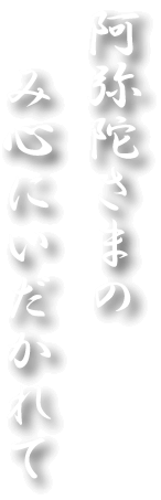 阿弥陀さまのみ心にいだかれて